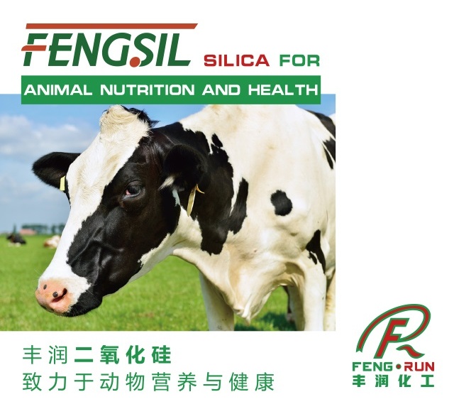 2021 China Feed Industry Exhibition